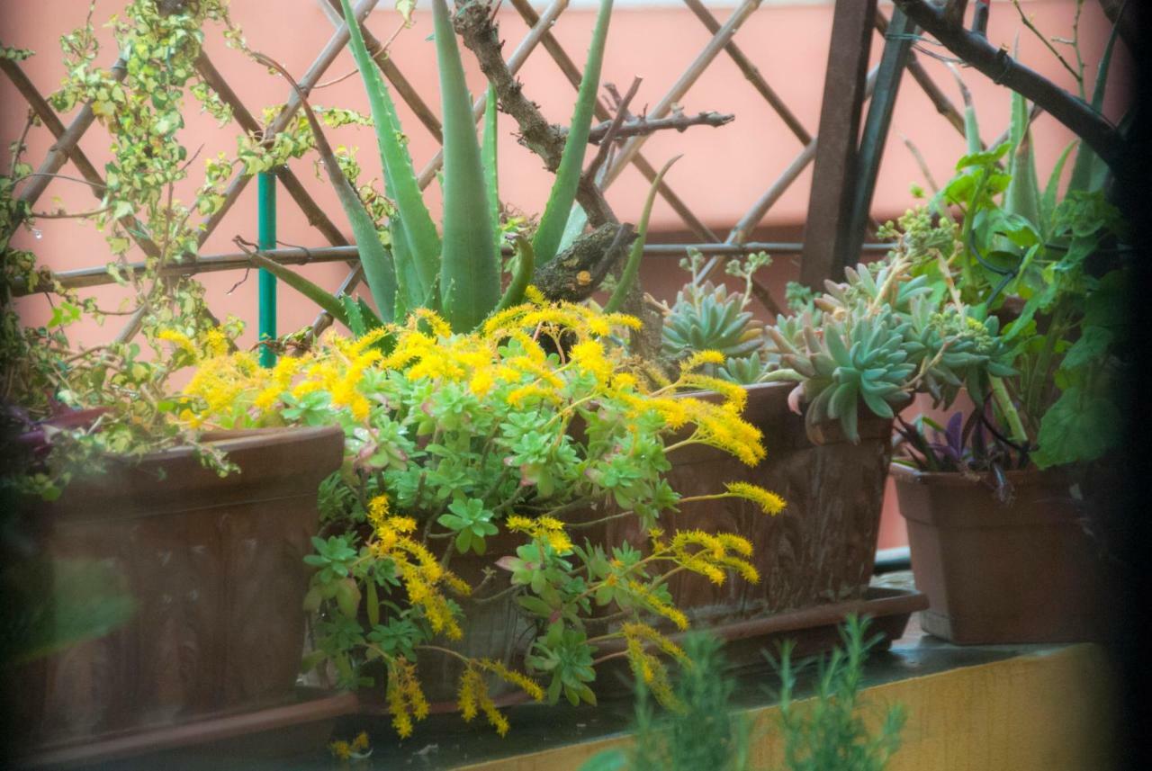 Appartamento Fiore Rome Bagian luar foto